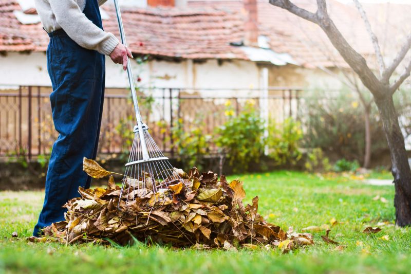 Clean Lawn in Autumn