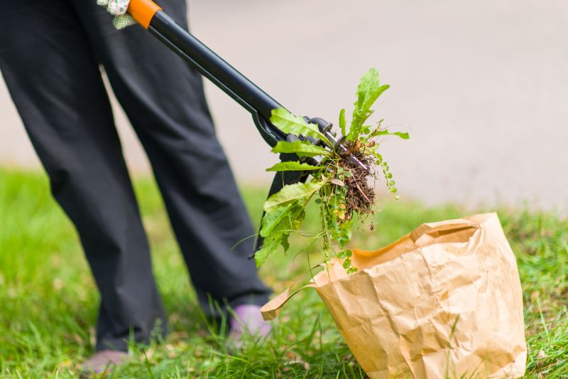 Tumbleweed Removal