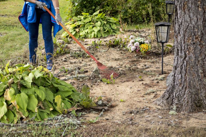 Community Clean Up Events