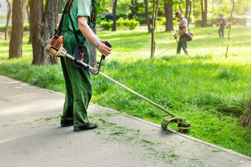 Professional Lawn Care Teams